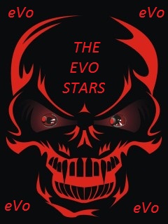 Teamlogo von The eVo Stars